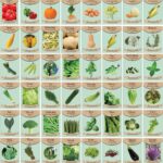 60+ best vegetables, herbs, and fruits that grow in shade