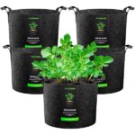Best grow bags for your garden—2024 reviews
