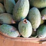 Feijoa madness explained