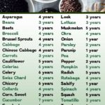 How long do seeds last? Check this seed viability chart
