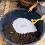 How to use perlite to improve soil and boost plant growth