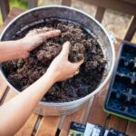 Make the best seed starting mix for dirt cheap (it’s organic too)