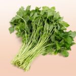 Mitsuba: the Japanese parsley explained