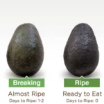 Picking avocados: best way to tell if an avocado is ripe